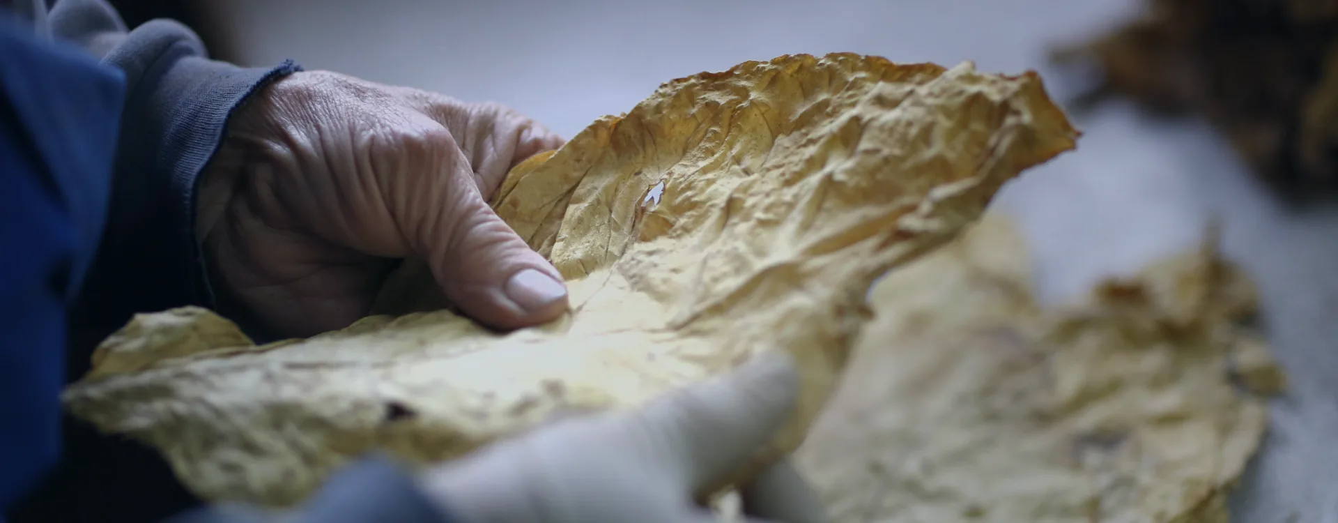 Compressed Air Applications in the Tobacco Industry